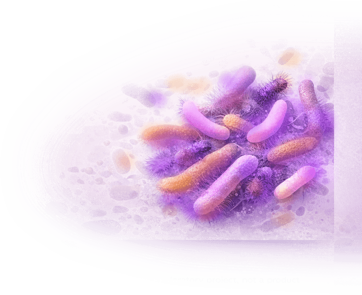 Gut microbiome illustration